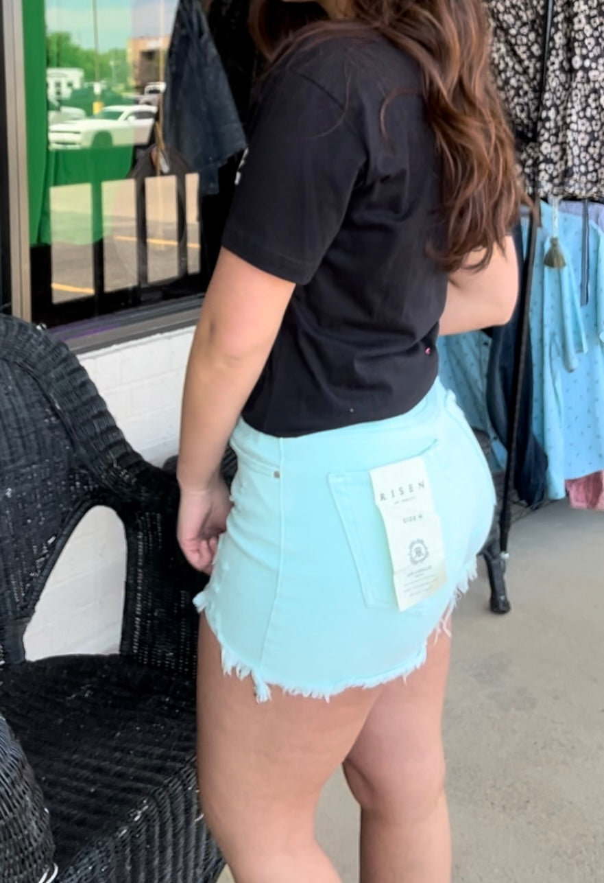 Risen Mint High Rise Distressed detailed Shorts